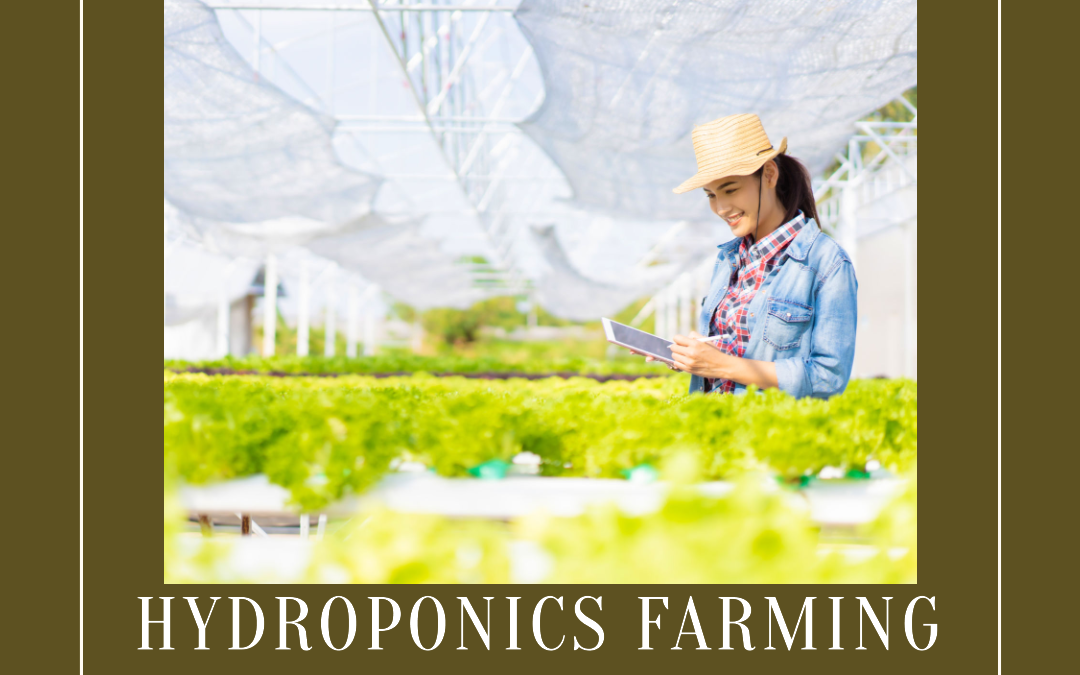 Hydroponics In Tropical Climates Like Thailand