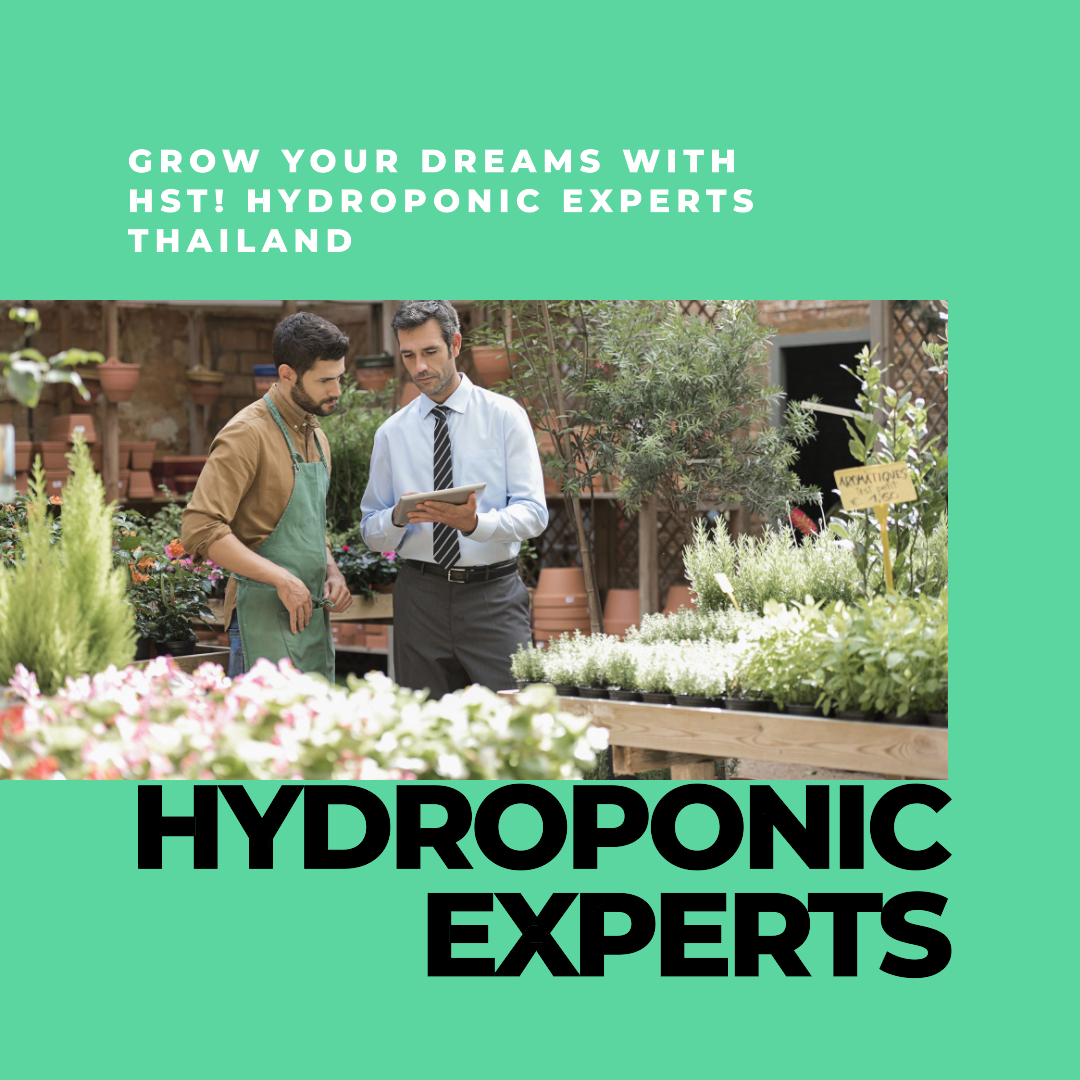 hydroponic experts Thailand